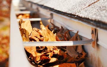 Pear Tree gutter cleaning companies